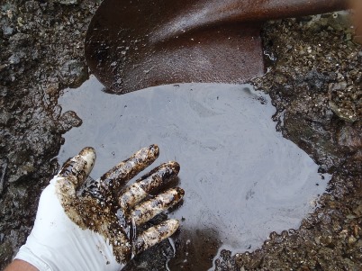 Oil residue, Eleanor Island, AK